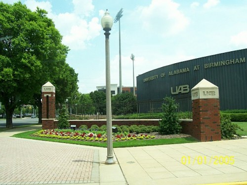 university-of-alabama-birmingham-management-major-with-human-resource-management-concentration